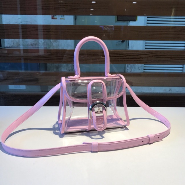 델보 브리앙 X-ray PVC Mini 핑크 토트백